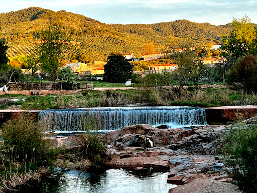 Bar El Río - Visual