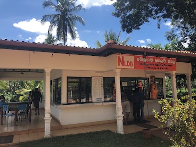 Photos of Beligama NLDB farm