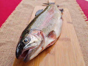 Photo n°9 de Ferme Aquaponique du Cambrésis à Honnecourt-sur-Escaut (Ferme aquacole)