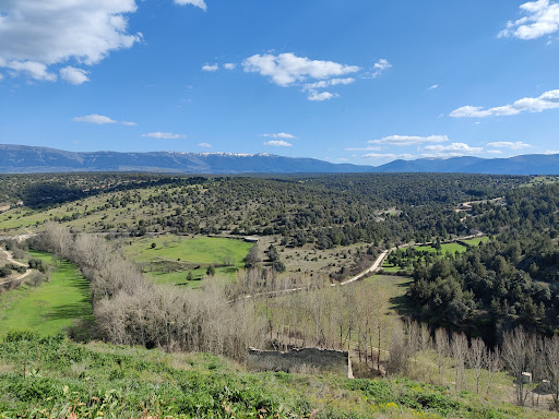 Pedraza - Visual
