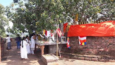Photos of Ashta Maha Pala Bodhiya