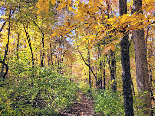 Stringers Ridge Park - Visual