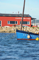 Photo n°26 de Tara By Madelezh à Plobannalec-Lesconil (Salon de thé)