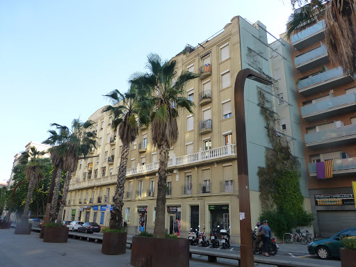 Badal - Visual