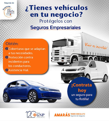 SOTO MULTISEGUROS - Thumbnail