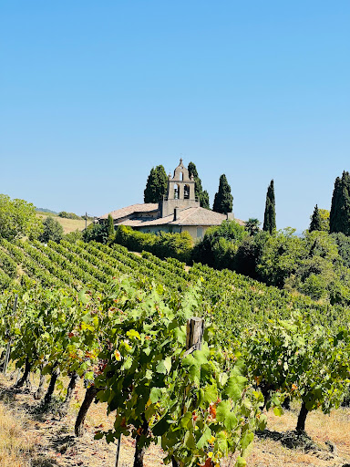 Vignes et clocher - Thumbnail