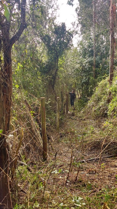 Photos of Marbic eirl