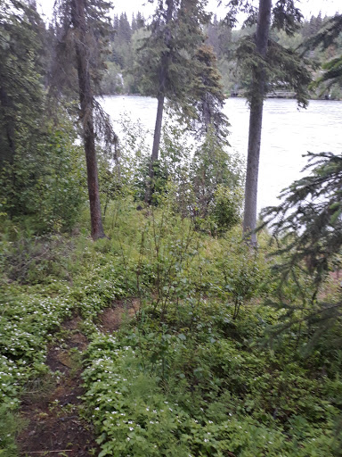 Funny River Campground - Thumbnail