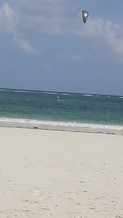 Photos of Kenya Top Tours & Safaris Ltd