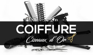 Photo n°16 de Ciseaux D'Or à Saint-Genis-Pouilly (Barbier)