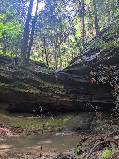 Nature's Way - Thumbnail