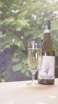 🍷鈴木商店 Piccola Enoteca Nostalgica