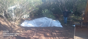 Photo n°37 de FV Terrassement à Roquebrune-sur-Argens (Entreprise de terrassement)