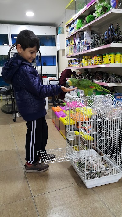 Photos of Şirin Petshop