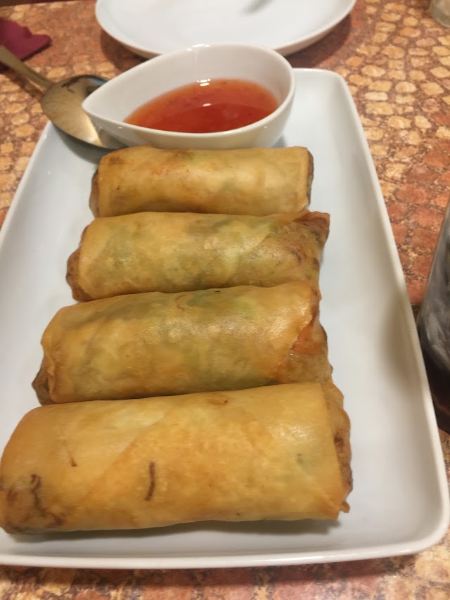 RinThai Palma