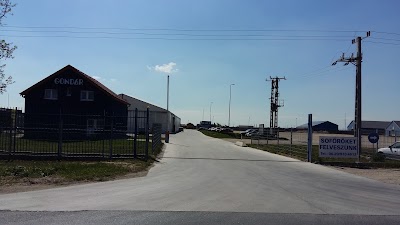 Photos of Gond&aacute;r Transport Kft.