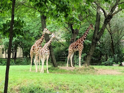 Brookfield Zoo