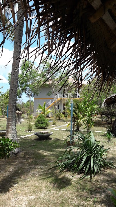 Photos of Coconut Island