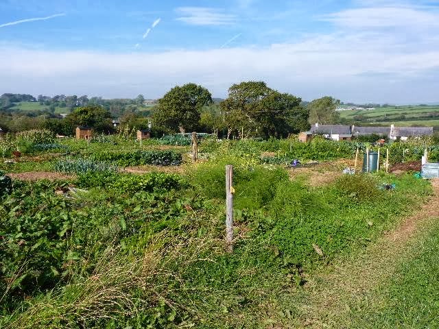 Tidy Plots