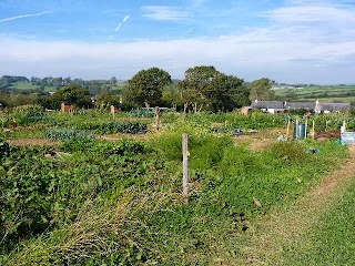 Tidy Plots