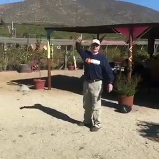 Opiniones de VIVERO YAPUR by jardines y riegos Yapur en La Serena - Centro de jardinería