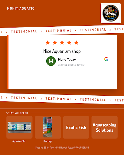 Monu Yadav had an excellent experience at MOHIT AQUATIC, the top aquarium shop in Gurugram. He lo… post image
