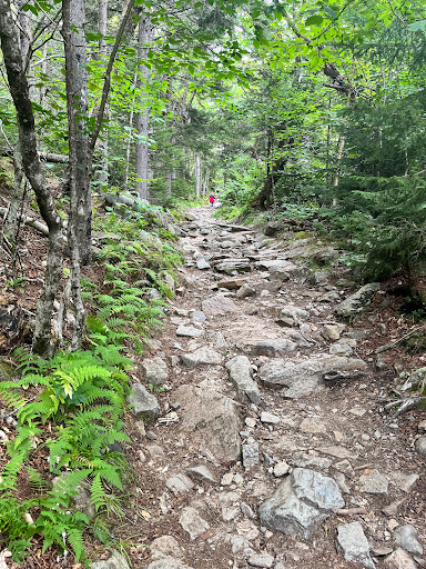 Mt Kearsarge Trailhead - Thumbnail