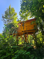 La Féerie des Anges avec jacuzzi privatif - hébergement Bulle - Cabane dans les arbres et lodge spa - Grand-Est. à Illoud