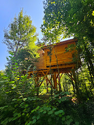 Photo n°1 de La Féerie des Anges avec jacuzzi privatif - hébergement Bulle - Cabane dans les arbres et lodge spa - Grand-Est. à Illoud (Hôtel bien-être)