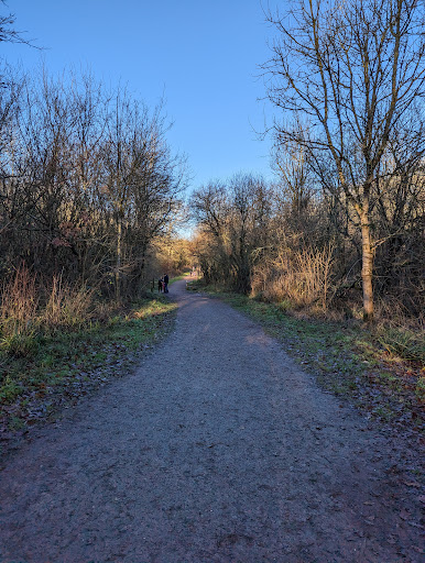 Salcey Forest - Visual