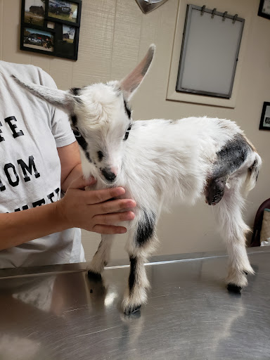 Tri-County Veterinary Services LLC - Thumbnail