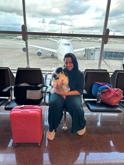 Dra Pet Viagem