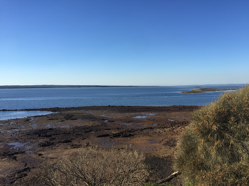 Settlement Point