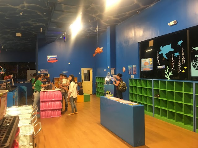 Catch Air Indoor Playground