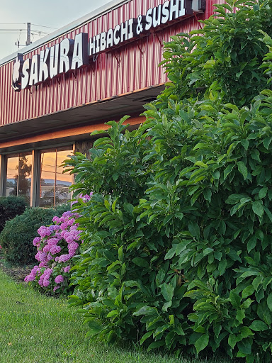 Naruto Asian Cuisine