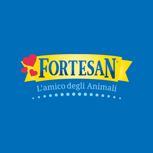 Store Fortesan Verbania - Thumbnail