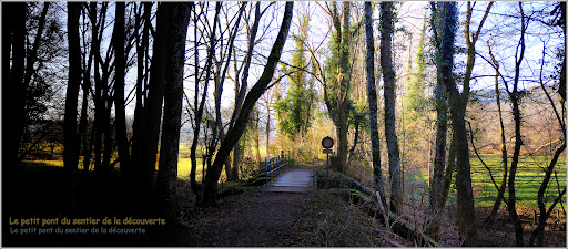 Sentier de la découverte ( Grotte du Hohlenstein ) - Thumbnail