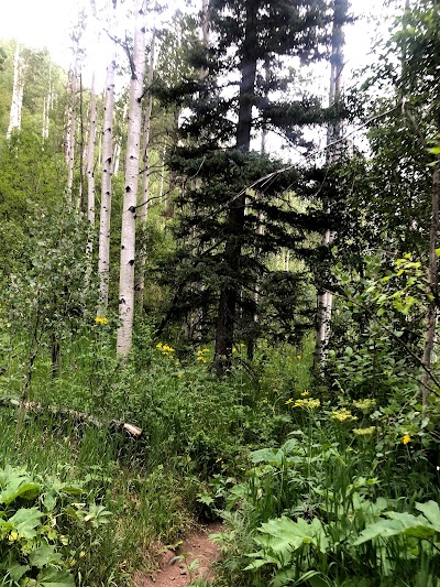 Winsor Creek Fishing Area and Trailhead