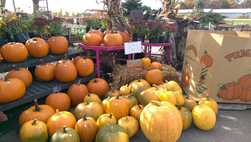 Holtz Garden Center & Floral - Thumbnail