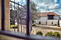 Domaine Magnien à Morey-Saint-Denis