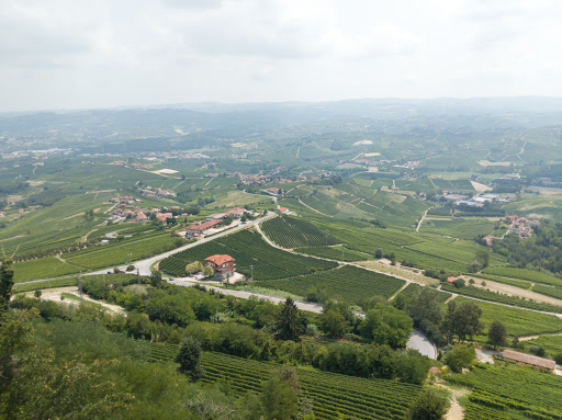 Langaround Piedmont Wine Tours and Food Experiences - Thumbnail