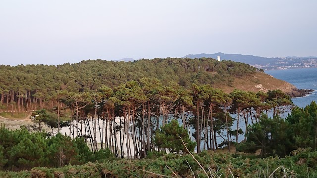 Playa areacova