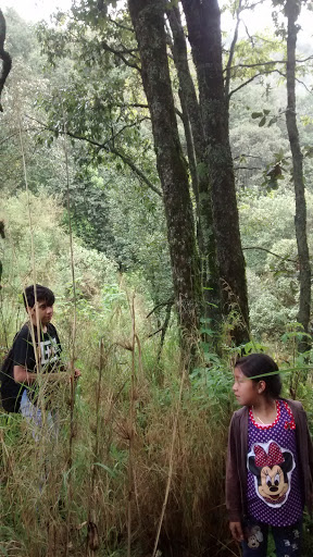 Cerro Chimalpa En Bosques De Yongua - Thumbnail