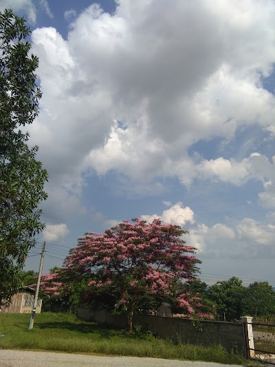 Photos of ร้านศรีเมือง