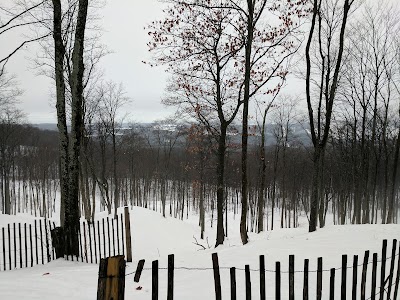 lodging