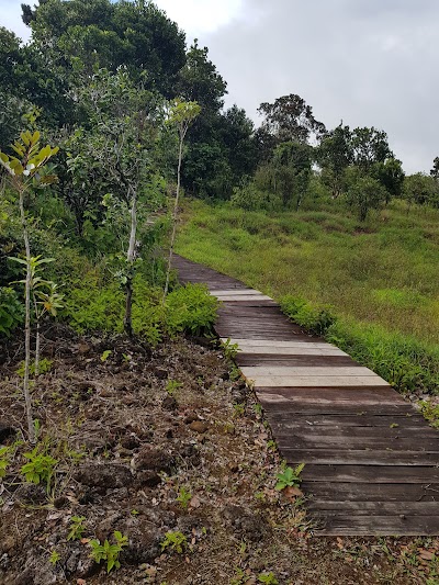 Photos of Monvert Nature Walk