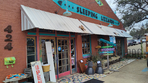 Sleeping Lizzards - Visual