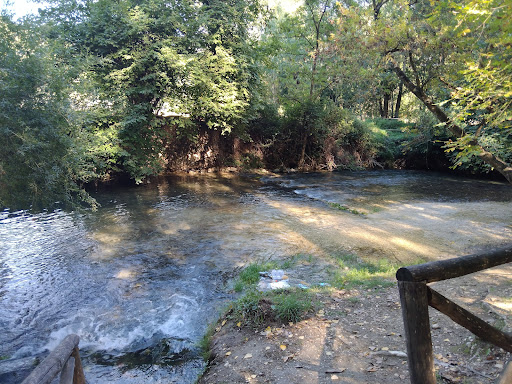 La Solfa - Visual
