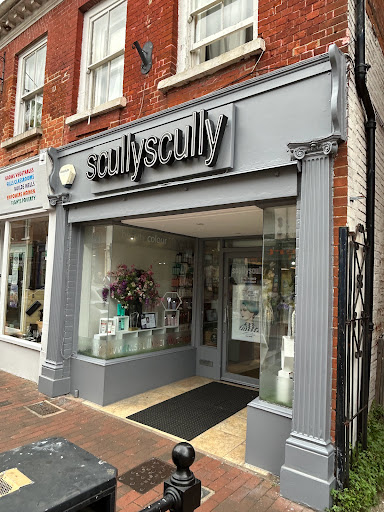 Scully Scully - Visual