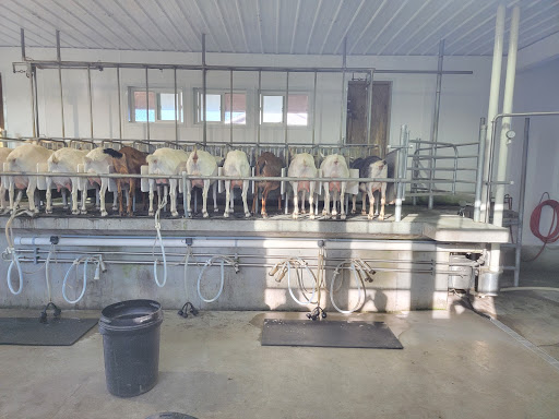 Milner Valley Cheese Ltd. - Thumbnail